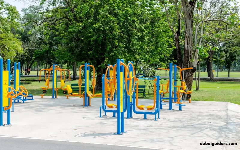 Play Outdoor Sports