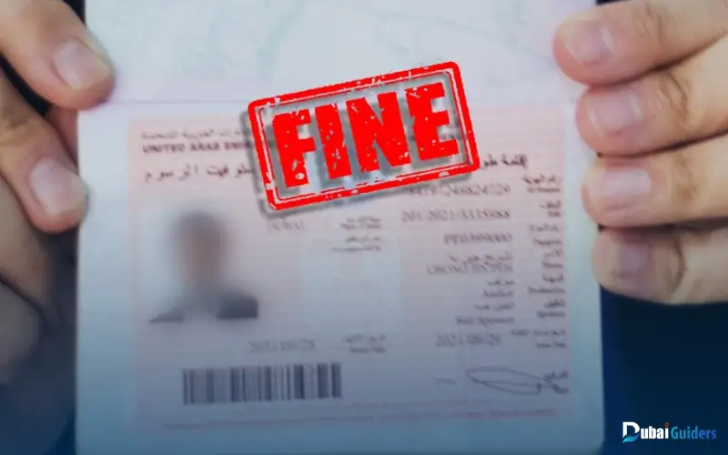Visa Status and Fines